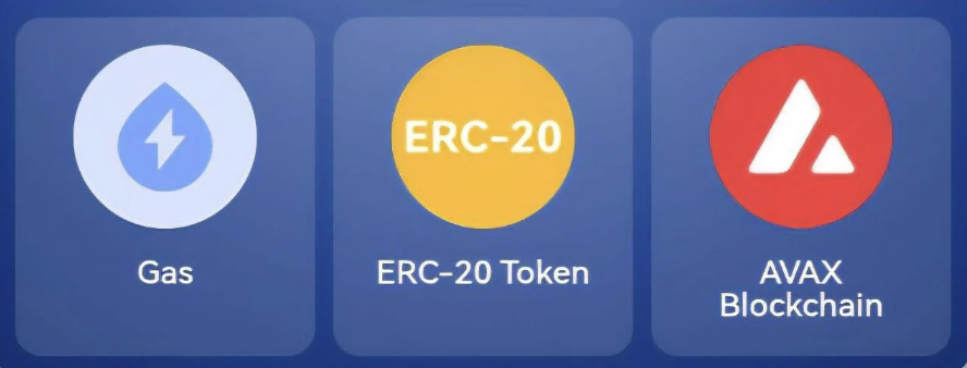 TapCoins Bounty Daily Combo 14 June 2025